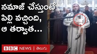 Ramzan Namaz and Cat: రంజాన్ నమాజ్ సమయంలో ఇమామ్ దగ్గరకు పిల్లి  వచ్చింది.. ఆ తర్వాత | BBC Telugu