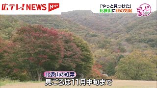 庄原市西城町の比婆山に秋の気配　紅葉色づく　11月中旬までが見ごろ　広島