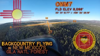 Backcountry Flying in New Mexico's Gila National Forest