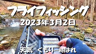 フライフィッシング ～2023年渓流解禁！小渓流でルースニング～ 2023年3月2日 天気くもり一時はれ