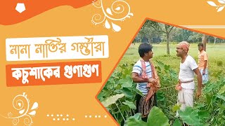 চাঁপাইনবাবগঞ্জের গম্ভীরা গান । কচু শাকের উপকারিতা এবং পুষ্টিগুণ । New Gomvira Gan । PFTI