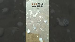 🐌🐌🐌 ప్రాణం వున్న నత్తలు #seafish #short