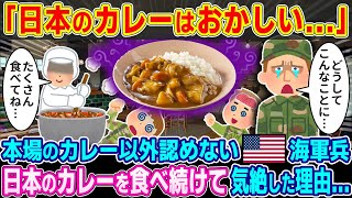 「日本のカレーはおかしい...」本場のカレー以外認めないアメリカ海軍兵に日本のカレーを食わせて気絶した理由...【2ch海外の反応】【ゆっくり解説】