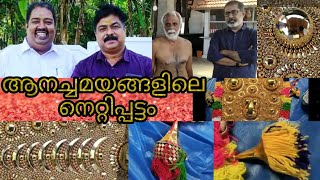 ആനച്ചമയങ്ങളിലെ നെറ്റിപ്പട്ടം |BIJU PAVITHRA