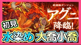 【パズドラ】アグニ降臨初見！水染め大喬小喬パで挑戦！Part296【ろあ】