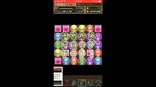 パズドラ「スーパーアンケートゴッドフェス」16連