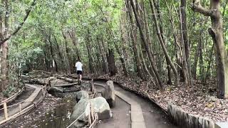 20230910 出雲大社　相模分祠　散策