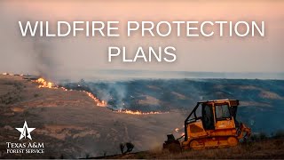 Community Wildfire Protection Plans - Working with TFS to Mitigate Wildfire Risk