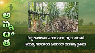 Down fall of sugarcane farming and jaggery making plants @East Godavari |  ETV