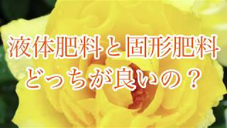 液体肥料と固形肥料どっちが良いの？