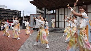 夏帰蝶　たびひろよさこい2025  午前演舞　1.19(日)  こうち旅広場　よさこい踊り