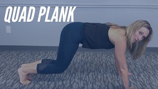 Quad Plank - CORE Chiropractic Exercises