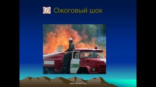 Травматический и ожоговый шок.  Клиника, профилактика, лечение