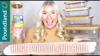 *BEFORE LOCKDOWN* POUNDLAND HAUL JANUARY 2021 | STORAGE \u0026 ORGANISATION IDEAS | SUSTAINABLE LIVING