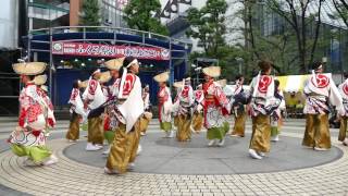 さぬき舞人 （ 2016東京よさこい　前夜祭・西口公園会場・和っしょい）