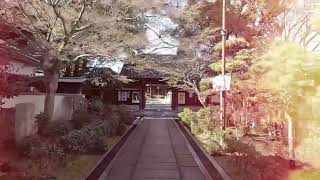 小杉神社〜西明寺