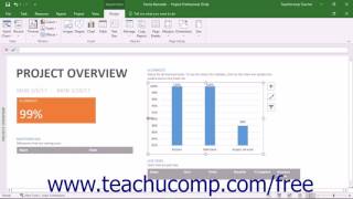 Project 2016 Tutorial Selecting Report Objects Microsoft Training