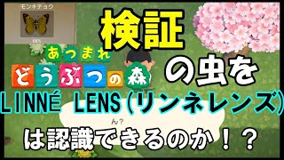 【検証】あつ森の虫をLINNÉ LENS（リンネレンズ）は認識できるのか！？【あつまれどうぶつの森】