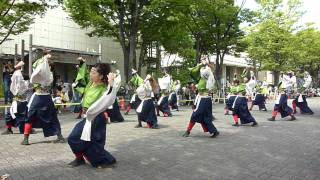 早稲田大学踊り侍、原宿よさこい、ＮＨＫ前ストリート演舞