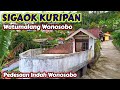 Nyaman tinggal disini Dusun Sigaok kuripan watumalang Wonosobo memanjakan mata.....