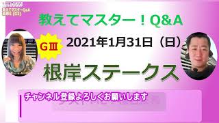 【競馬予想・根岸S・2021】教えてマスターQ＆A タイムフライヤー復活あるか？アルクトス、ワンダーリーデル、レッドルゼルの過去レースを見るべきポイント【予想屋マスター】