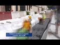 polystorm stormwater management solution timelapse