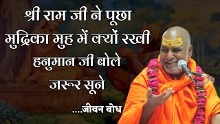 हनुमान जी बोले मैने तो कुच्छ नही किया | Rajeshwaranand Ji Maharaj Pravachan |