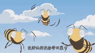 5-01《心靈環保兒童生活教育動畫5》01 蜜蜂不見了(國語版)