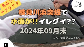 水面が!?ナブラ!? こんなの見たことない!!! -検見川浜突堤- 【2024年09月末】