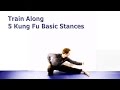 Five Kung Fu Basic Stances