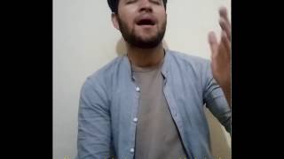Hussain bant rahay hain Nijat lay jao (ع) | Mir Hasan Mir | New Manqabat 2019 | by Saleem Raza