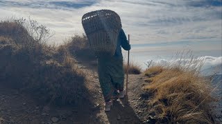 Extra: A Photo Gallery of Our Trek in the Annapurna Range of the Himalaya