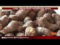 கோயம்பேடு காய்கறி சந்தையில் காய்கறிகள் விலை உயர்வு vegetables price hike koyambedu market