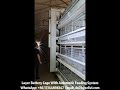 Best Price Layer Chicken Cage Automatic Poultry Equipment