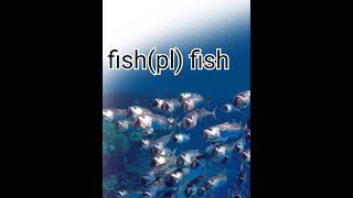 ما لا تعرفه عن كلمة#fish