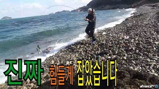 추자도 루어낚시 진짜 진짜 힘들게 잡았습니다....그러나 손맛하나는 죽여줍니다.!! (fishing)