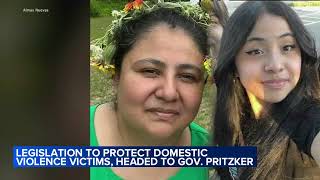 Illinois lawmakers advance 'Karina's bill' to remove guns from domestic violence situations