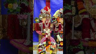 Dholera Live Darshan | આજના દિવ્ય શણગાર દર્શન | છ ધામના દેવોના | તા:- ૦૪/- ૦૨/- ૨૦૨૫ #shorts #short