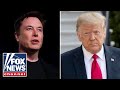 Elon Musk joined call between Trump and Zelenskyy, Fox confirms