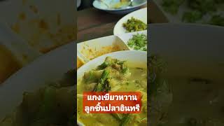 แกงเขียวหวานลูกชิ้นปลาอินทรี ร้านขนมจีนเส้นสดบ้านปิ่นแก้ว เสาไห้ สระบุรี