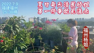 福州杨姐：暑假了杨姐天天忙活楼顶花园，你看迎着朝阳给花儿浇水，太美了！