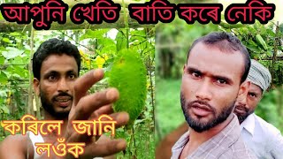 আপুনি শাক পাচলিৰ খেতি কৰিলে কি কি কৰিব লাগে চাওঁক এই ভিডিওটো