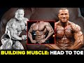 BUILDING THE PERFECT BODY! | Full Body Training | Live With Dave Palumbo