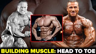 BUILDING THE PERFECT BODY! | Full Body Training | Live With Dave Palumbo