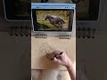 sketching horsesketch quicksketch horseart learning art artreels sketch arttips drawing