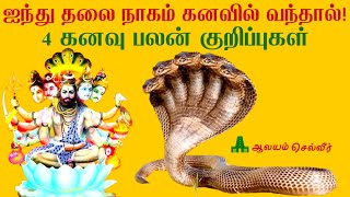 ஐந்து தலை நாகம் கனவில் வந்தால் என்ன பலன்? 4 கனவு பலன் குறிப்புக்கள்