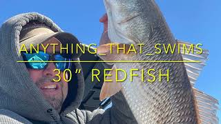 30 Redfish on the flats after a winter storm. #fish #fishing #youtubevideo #redfish