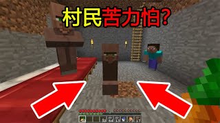 我的世界：MC新手冷知识，这样的MC你见过吗？村民苦力怕？【煞神吖】