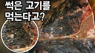 [ENG sub]  썩은 고기를 먹는 다고? 티본스테이크가 예뻐지는 과정 T-bone Steak [chGOGI]