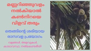 തെങ്ങിന്റെ ശരിയായ വള പ്രയോഗം /കൃത്യമായ അളവിൽ